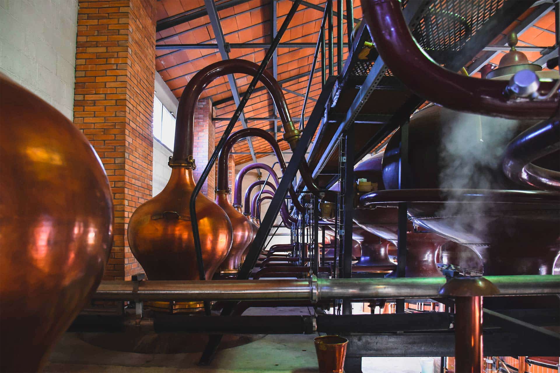 Visite d'une distillerie de Cognac bas&eacute;e &agrave; Jarnac